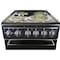 Premium Levella 20" 4-Burner Electric Stove in Black  PRE2027GB - alternate 4